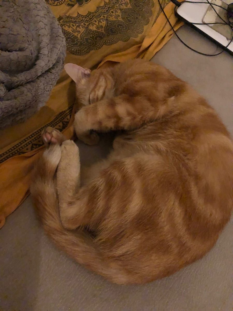Profil de Tyno